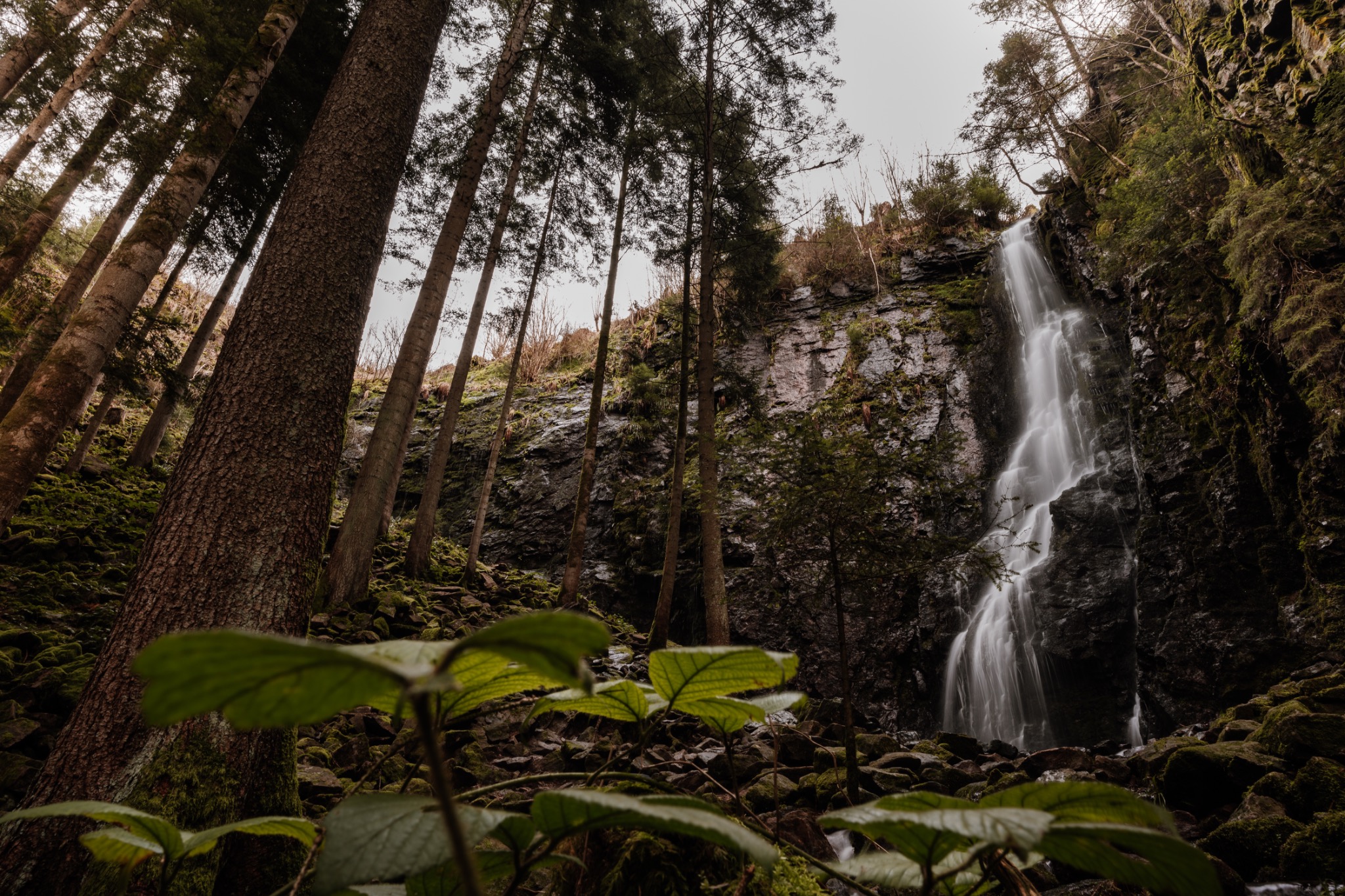 Burgbachwasserfall bei Bad Rippoldsau-Schapbach im moosigen Schwarzwald