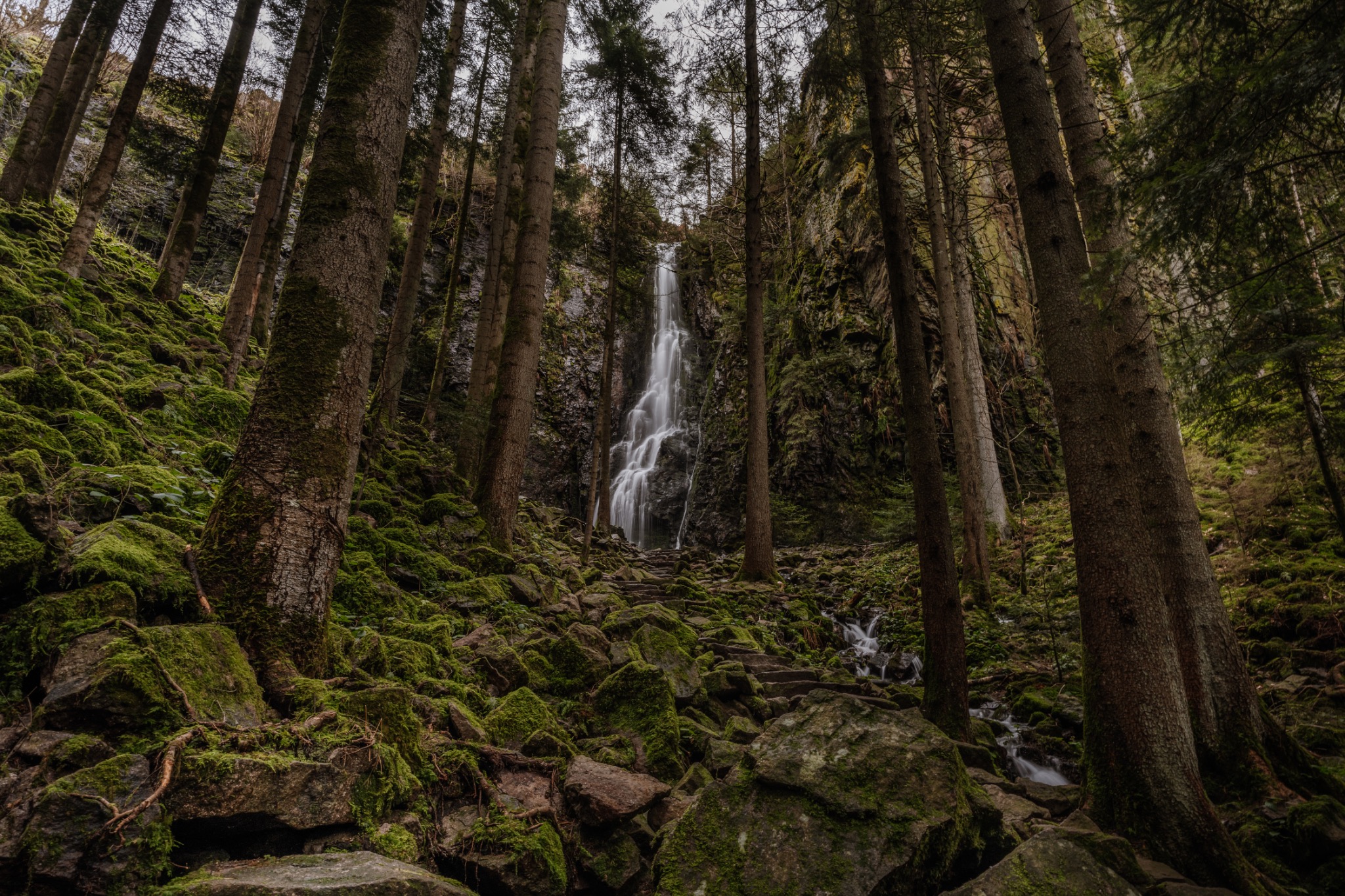 Waldpfad mit Blick zum Burgbachwasserfall bei Bad Rippoldsau-Schapbach